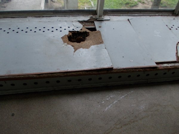 Грибок, корозія і дірявий дах: яким продали кінотеатр «Промінь». ФОТО