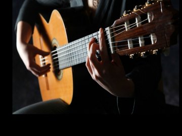 Різновиди гітар та сфери їх застосування*