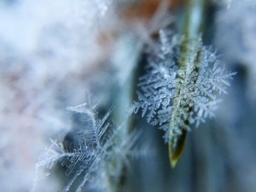 Погода у Луцьку та Волинській області на п'ятницю, 5 лютого