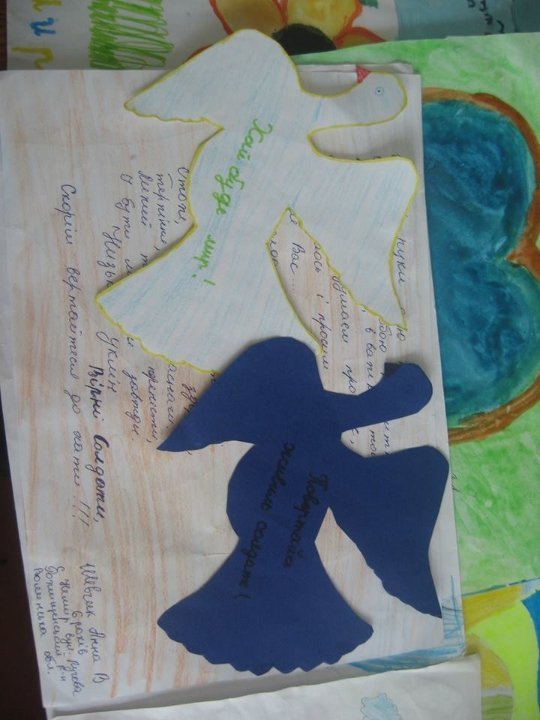 Волинський школяр назбирав півтисячі кришечок, щоб допомогти пораненим бійцям. ФОТО