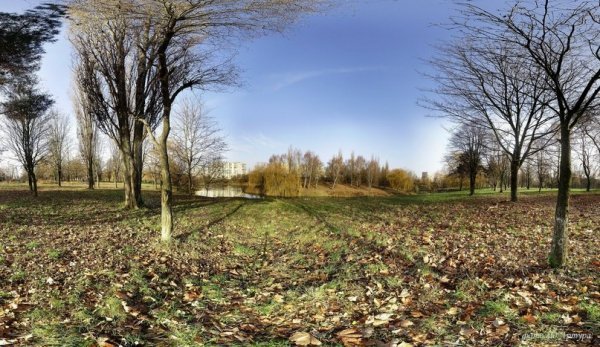 Осіння Сапалаївка. ФОТО