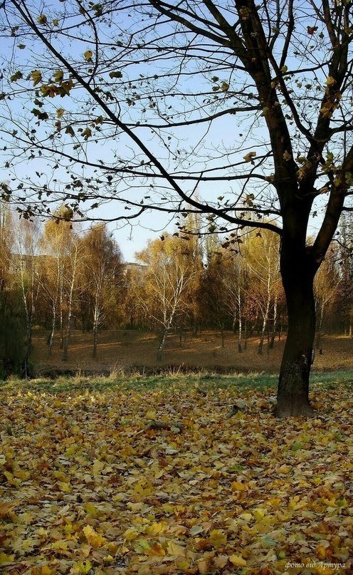 Осіння Сапалаївка. ФОТО