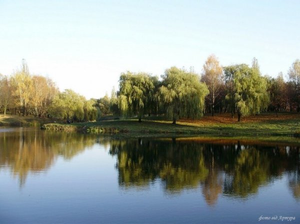 Осіння Сапалаївка. ФОТО