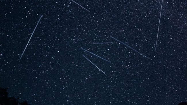 Фотограф з Волині зазнімкував неймовірний зорепад. ФОТО