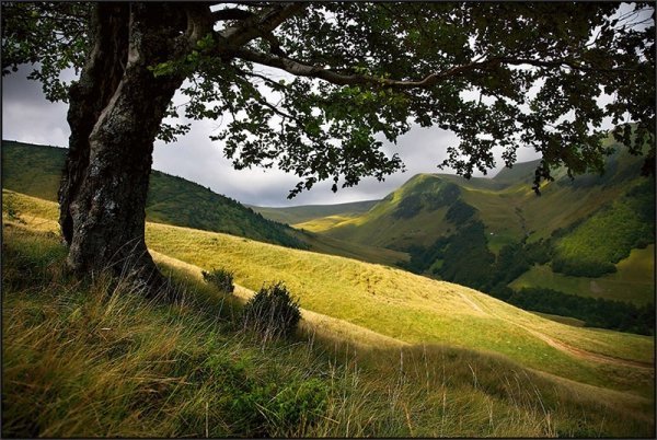 Фотовиставка Тараса Цибуха