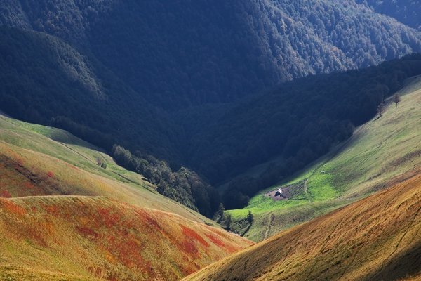 Фотовиставка Тараса Цибуха