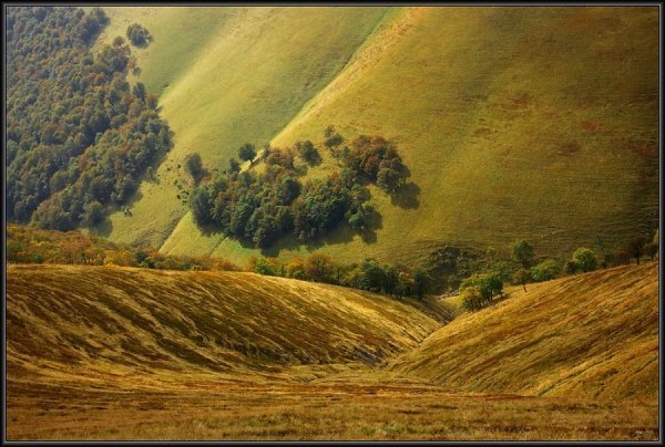 Фотовиставка Тараса Цибуха