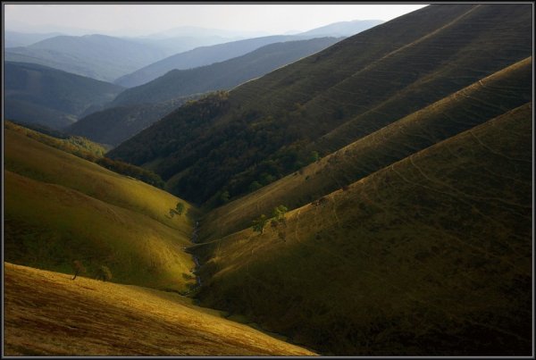 Фотовиставка Тараса Цибуха