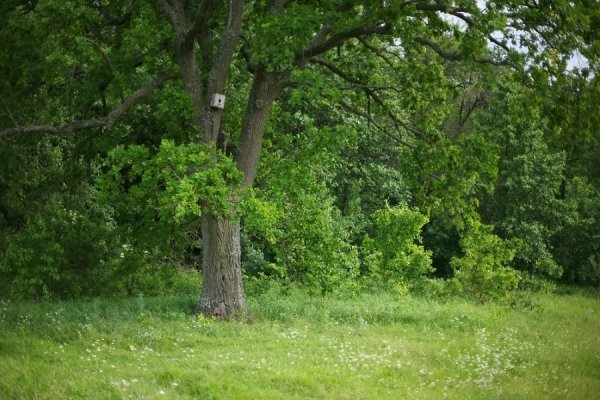 Фотовиставка Тараса Цибуха
