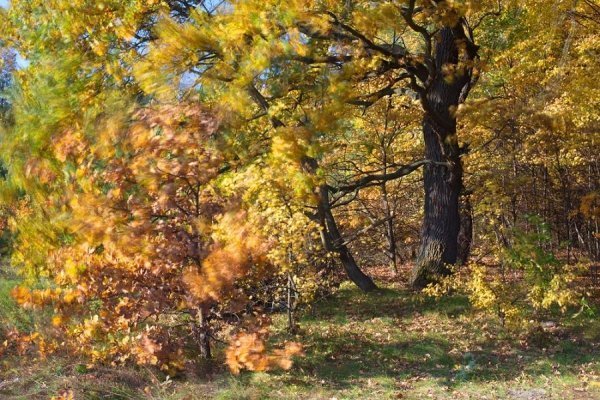 Фотовиставка Тараса Цибуха
