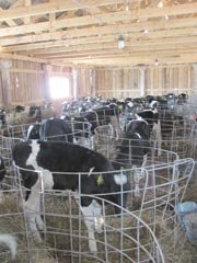 Фото Сергія Наумука