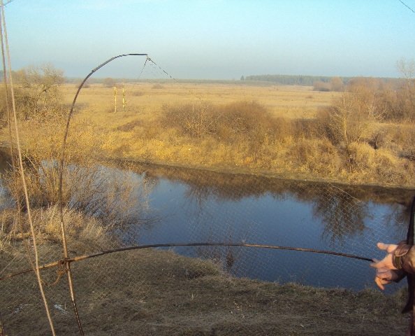 На річці Західний Буг затримали волинянина, який ловив рибу забороненим знаряддям. ФОТО