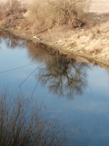На річці Західний Буг затримали волинянина, який ловив рибу забороненим знаряддям. ФОТО