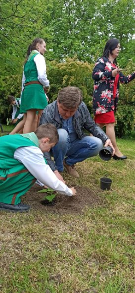 У селі Чаруків висадили алею павловній