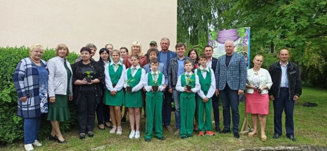 У селі Чаруків висадили алею павловній