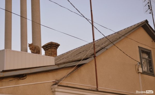 Місто, яке я люблю. Луцьк прокидається. Частина 2