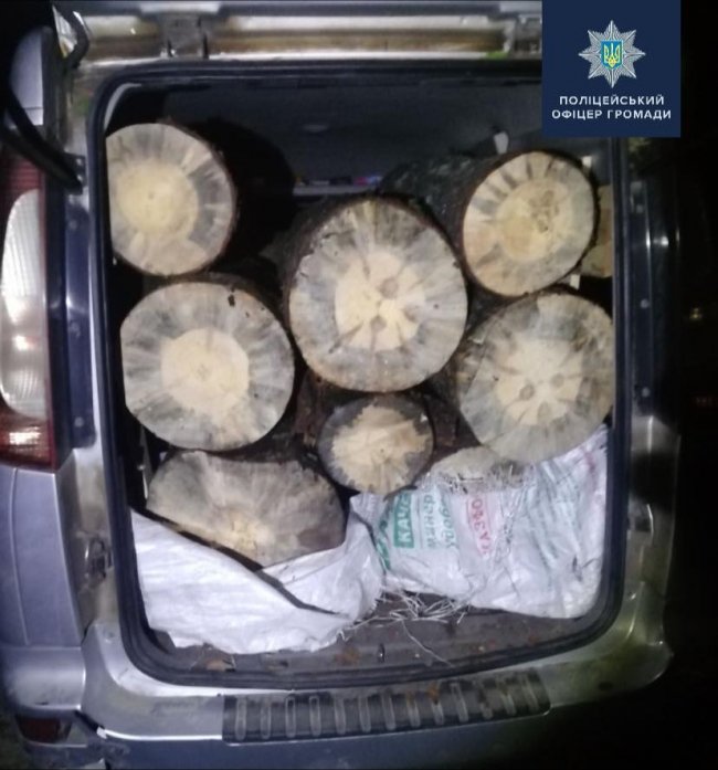 На Волині затримали авто з незаконним лісом