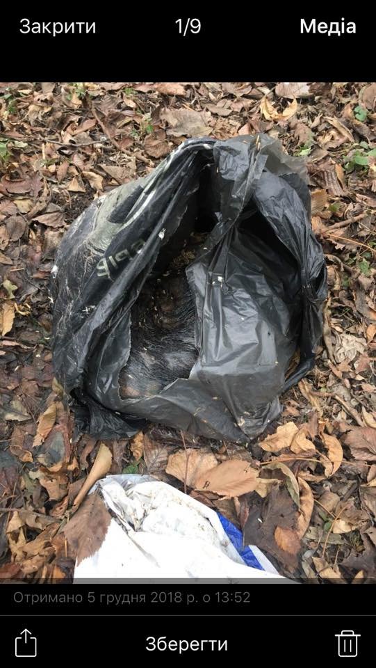 Біля дому молитви на Волині знайшли пакети з трупами тварин. ФОТО 18+