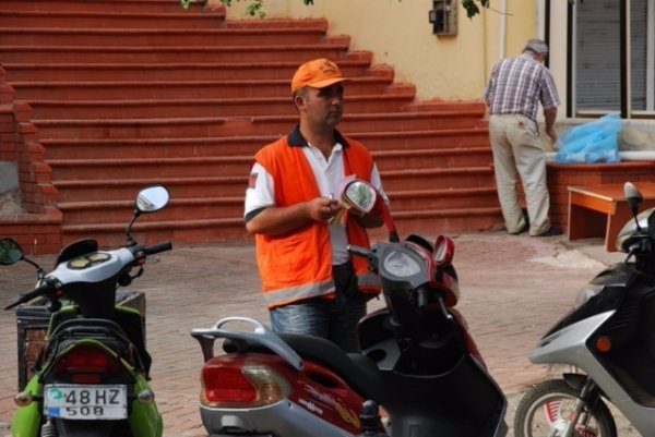 Як у Луцьку вирішити проблему з парковками на прикладі інших країн? ФОТО