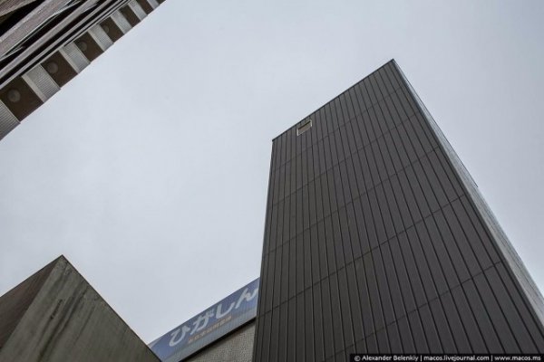 Як у Луцьку вирішити проблему з парковками на прикладі інших країн? ФОТО