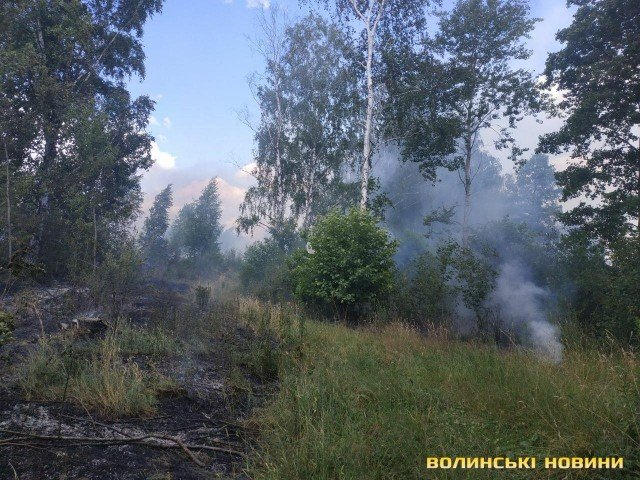 В Озерці палає ліс. ФОТО