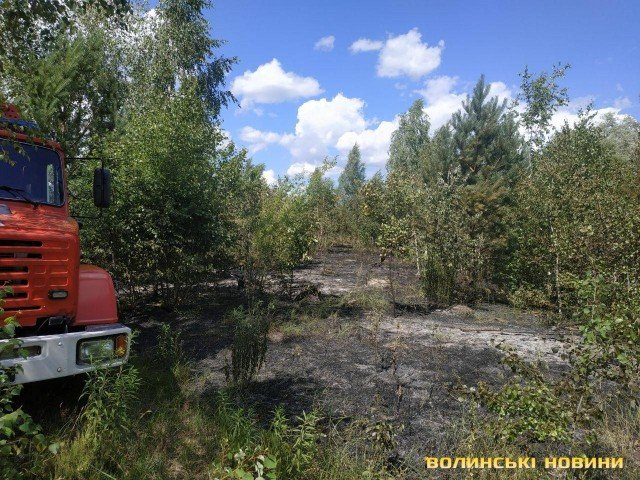В Озерці палає ліс. ФОТО