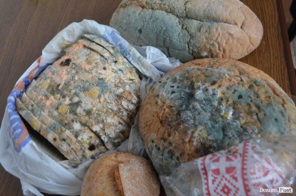 Яким хлібом годують волинян? ФОТО