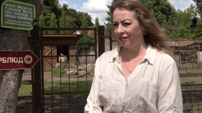 Показали маленьке верблюжа, яке народилося у Луцькому зоопарку. ВІДЕО