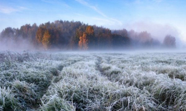 Жовтневий ранок на річці Свіслоч. Республіка Білорусь. Автор: Олексій Угальніков