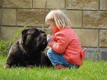 Фото «котячо-собачого» хіт-параду від Луцького зоопарку (част. 3)