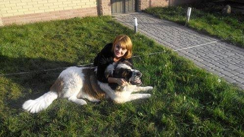 Фото «котячо-собачого» хіт-параду від Луцького зоопарку (част. 3)