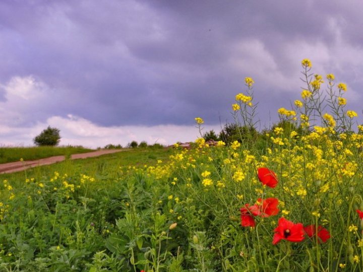 Погодні рекорди червня на Волині: коли було найтепліше