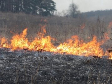 Зеленський пропонує запровадити кримінальну відповідальність за спалювання сухої трави. ВІДЕО