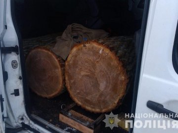 На Волині у чоловіка в авто знайшли деревину без документів. ФОТО