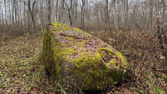 Свідок льодовикової епохи: в нацпарку на Волині досліджують тисячолітній камінь