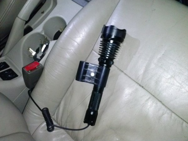 На Волині затримали браконьєрів з тушею оленя. ФОТО