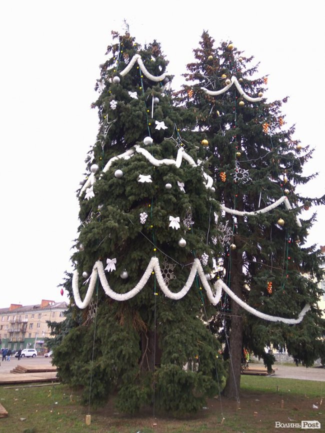 Біля луцької міськради прикрасили ялинку. ФОТО