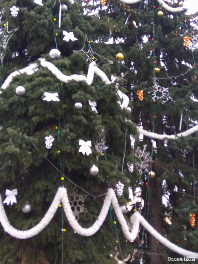 Біля луцької міськради прикрасили ялинку. ФОТО