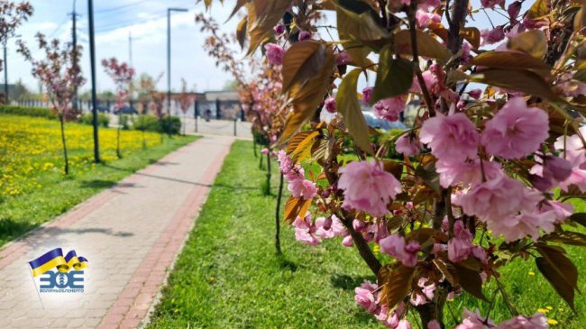 Де лучанам помилуватися сакурами та зробити неймовірні фото. ЛОКАЦІЇ