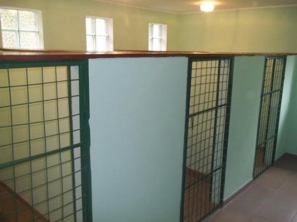 У Луцькому районі працює «собачий готель». ФОТО