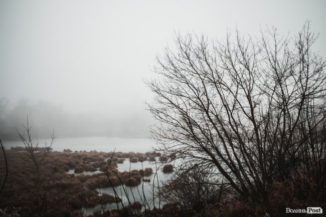 Туманно-сіра краса у Луцьку. ФОТО