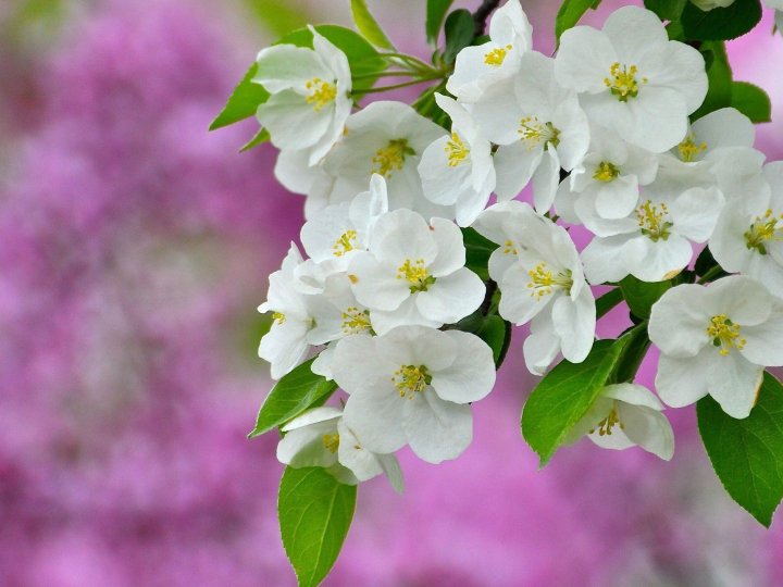  Погода в Луцьку та Волинській області на завтра, 21 квітня