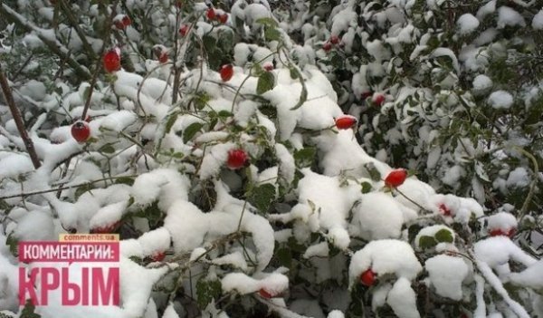 У Криму ‒ перший сніг. ФОТО