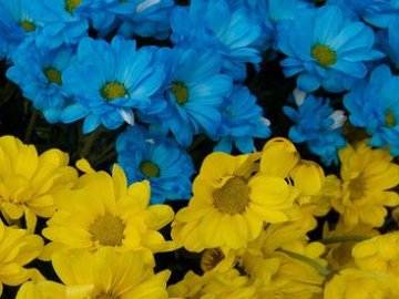 52 героїчні доби: добрі новини від ВолиньPost за 16 квітня