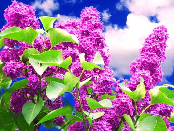 Погода в Луцьку та Волинській області на п'ятницю, 21 травня