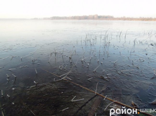 Іній та крига: морозний ранок у Шацьку. ФОТО