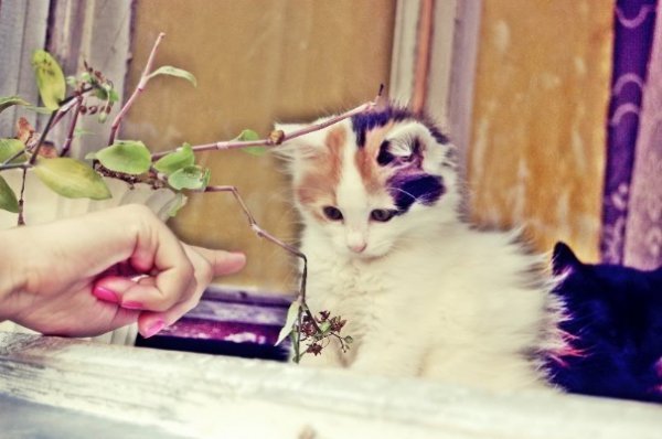 Фотовиставка Юлії Чуйко