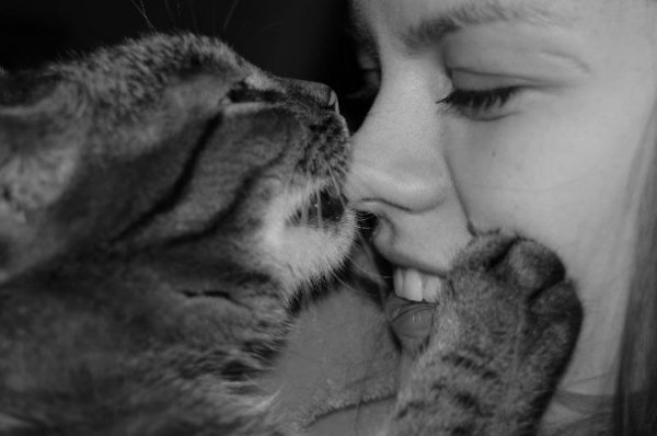 Фотовиставка Юлії Чуйко