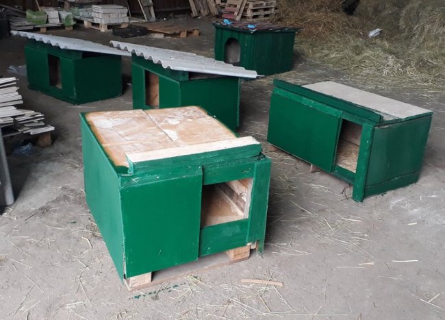 Луцька «Ласка» похвалилася новими будками для собак. ФОТО