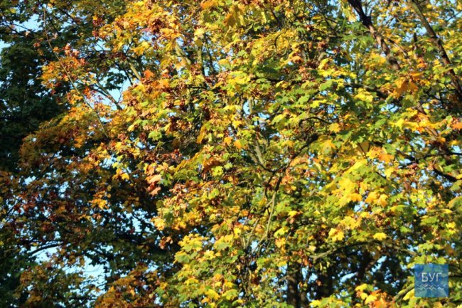 Атмосферні світлини морозного ранку у волинському місті. ФОТО